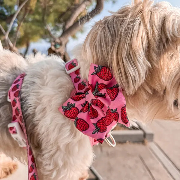 Mašnica Strawberry Bliss