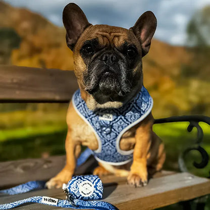 Nastavljiva Oprsnica Blue Majesty