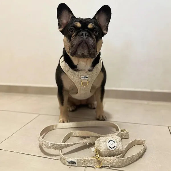 Torbica za Vrečke Fluffy Elite Vivid