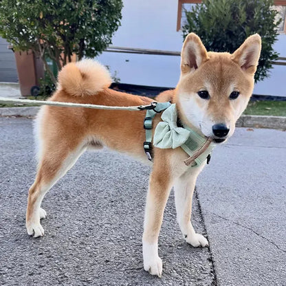 Mašnica Enchanting Hearts Deluxe