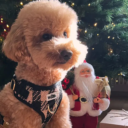 Nastavljiva Oprsnica Fluffy Elite Fatal