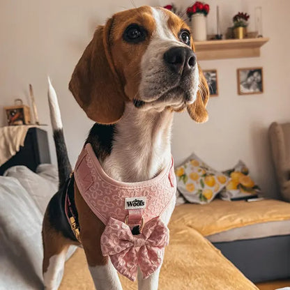 Mašnica Blush Blossom Premium