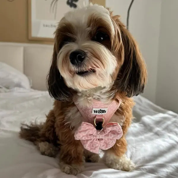 Nastavljiva Oprsnica Blush Blossom Premium