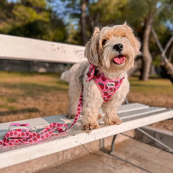 Nastavljiva Oprsnica Strawberry Bliss