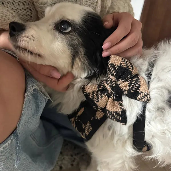 Mašnica Fluffy Elite Fatal