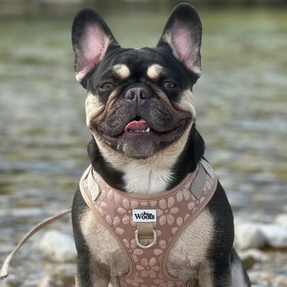 Nastavljiva Oprsnica Cocoa Bloom Deluxe