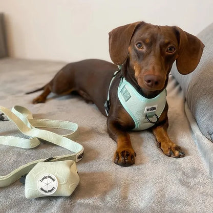 Nastavljiva Oprsnica Enchanting Hearts Deluxe