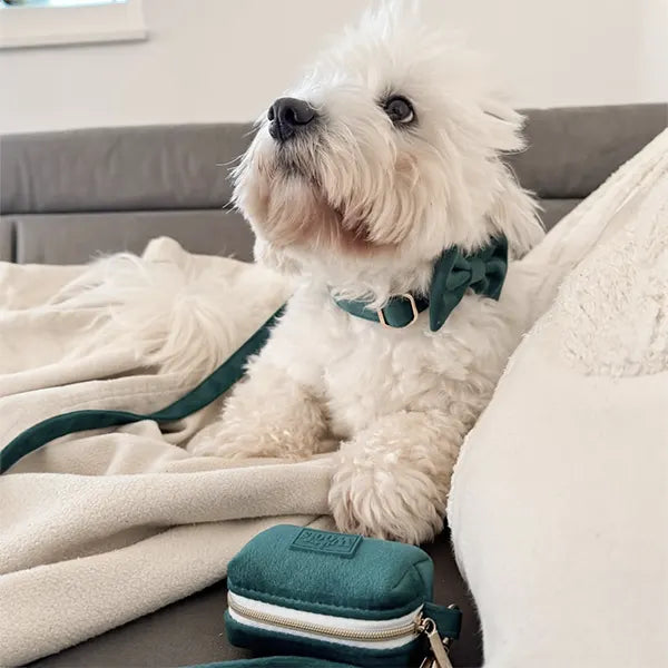 Nastavljiva Ovratnica Emerald