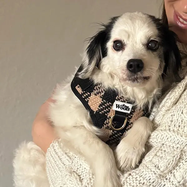 Nastavljiva Oprsnica Fluffy Elite Fatal