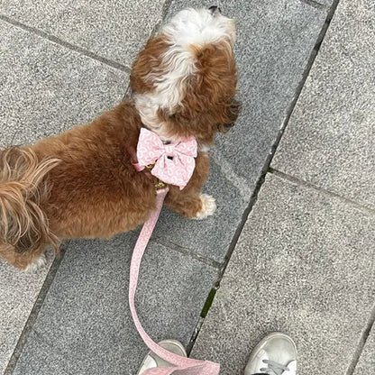 Povodec Blush Blossom Premium