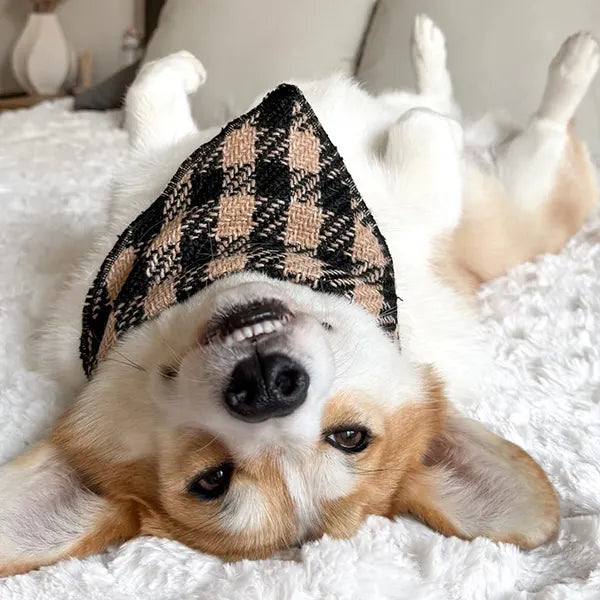 Rutka  Fluffy Elite Fatal