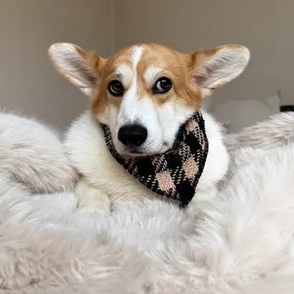 Rutka  Fluffy Elite Fatal