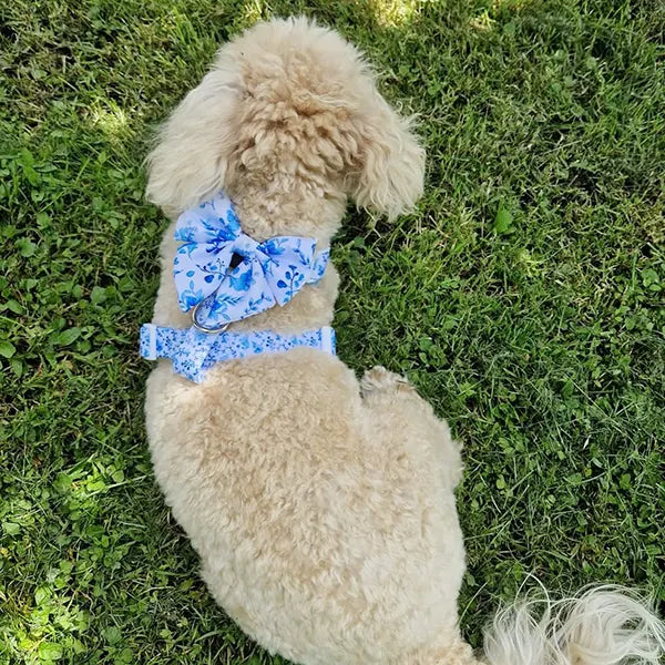 Mašnica Bright Charm