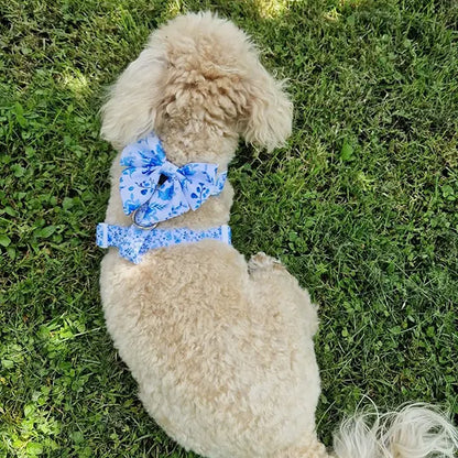 Mašnica Bright Charm