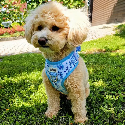 Nastavljiva Oprsnica Bright Charm