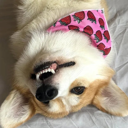 Rutka  Strawberry Bliss