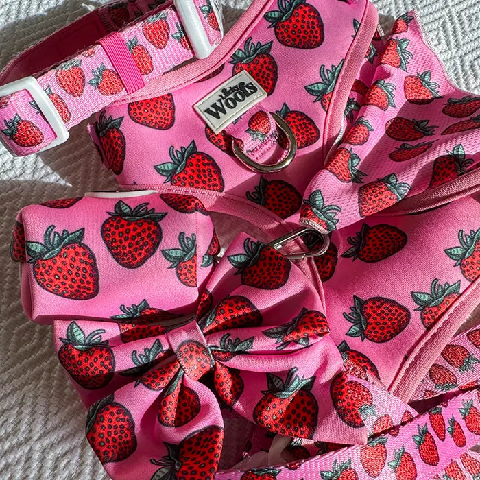 Strawberry Bliss Adjustable Harness