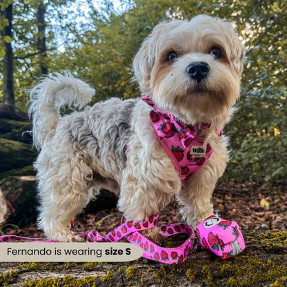 Strawberry Bliss Adjustable Collar