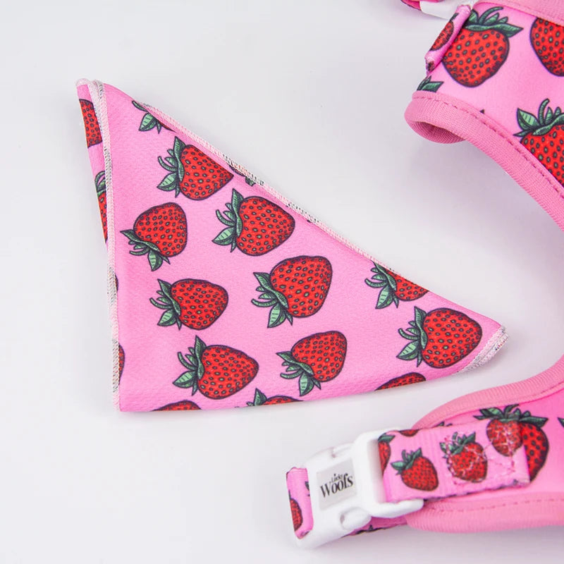 Strawberry Bliss Bandana