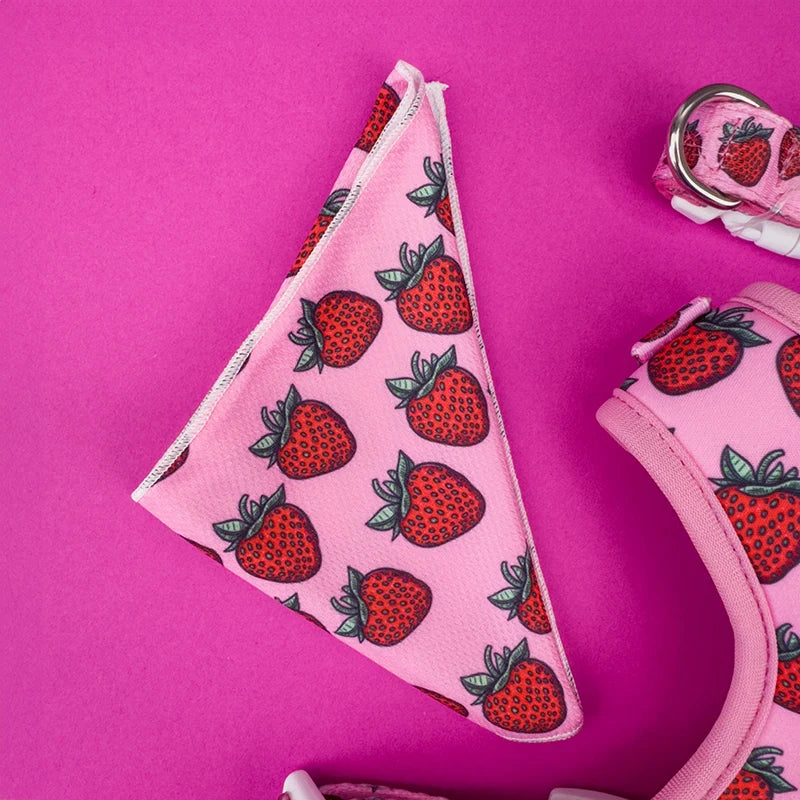 Strawberry Bliss Bandana