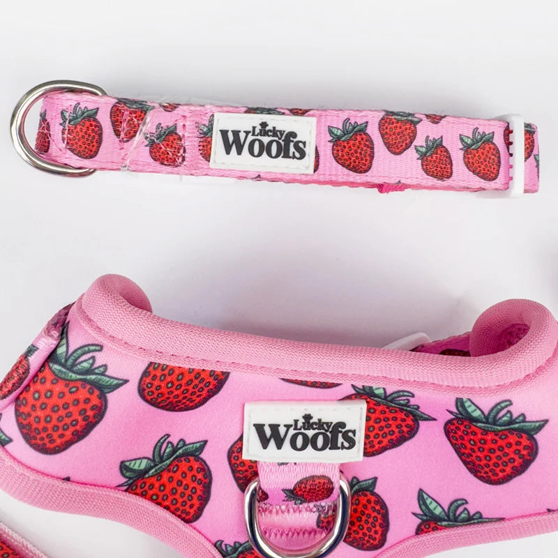 Strawberry Bliss Adjustable Collar