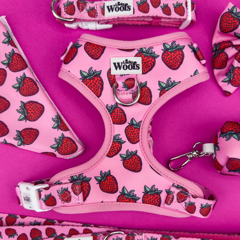 Strawberry Bliss Adjustable Harness