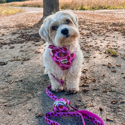 Strawberry Bliss Bow Tie