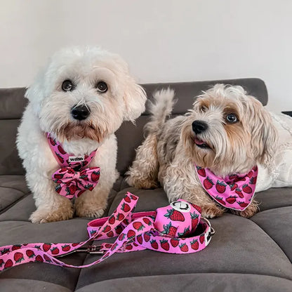 Strawberry Bliss Bow Tie