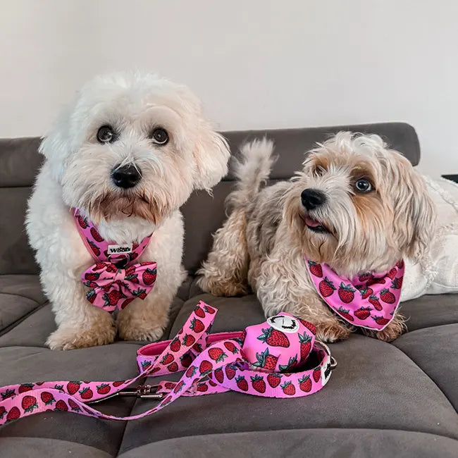 Strawberry Bliss Bandana