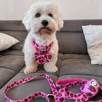 Strawberry Bliss Leash