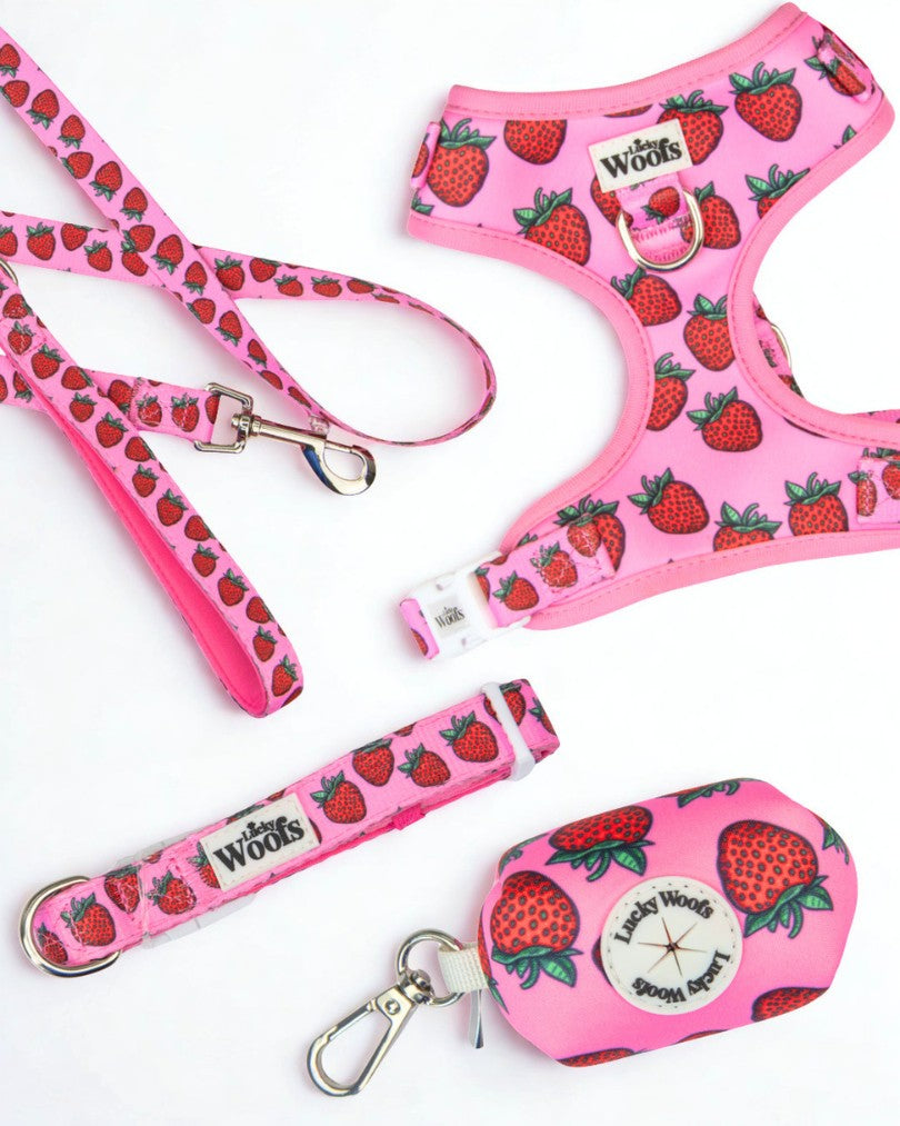 Komplet PASJA AVANTURA (Oprsnica + Povodec + Ovratnica + Torbica) Strawberry Bliss