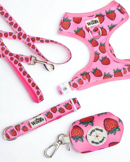 Komplet PASJA AVANTURA (Oprsnica + Povodec + Ovratnica + Torbica) Strawberry Bliss