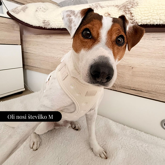 Nastavljiva Oprsnica Sunny Bloom