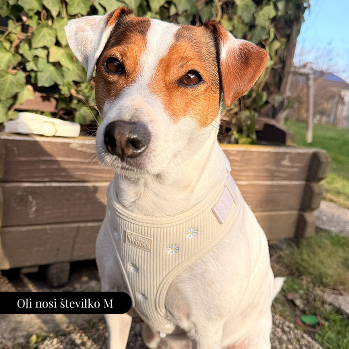 Nastavljiva Oprsnica Sunny Bloom