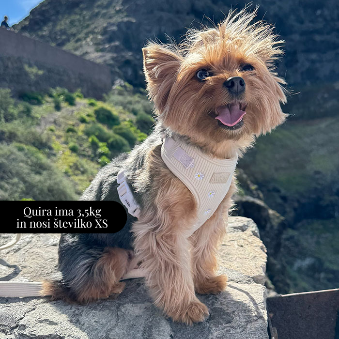 Nastavljiva Oprsnica Sunny Bloom