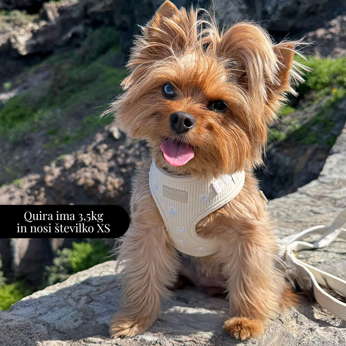 Nastavljiva Oprsnica Sunny Bloom