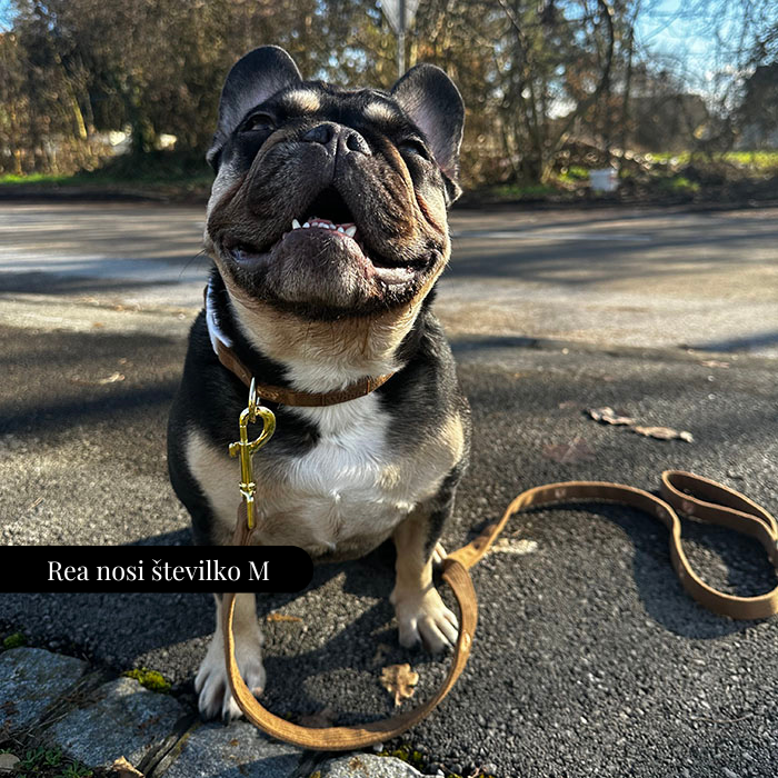 Nastavljiva Ovratnica Teddy Bear