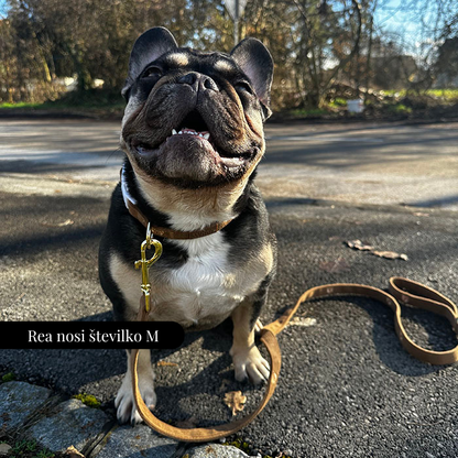 Nastavljiva Ovratnica Teddy Bear