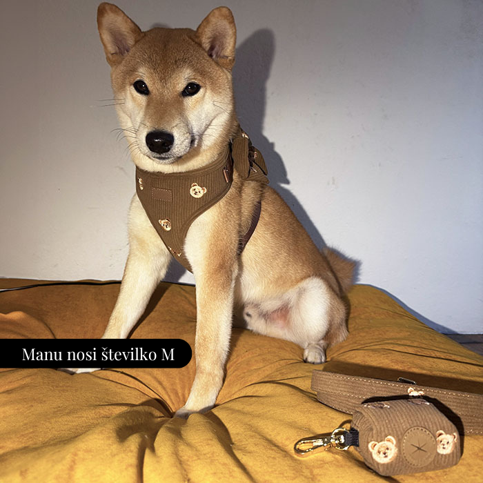 Nastavljiva Oprsnica Teddy Bear