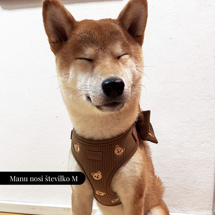 Nastavljiva Oprsnica Teddy Bear