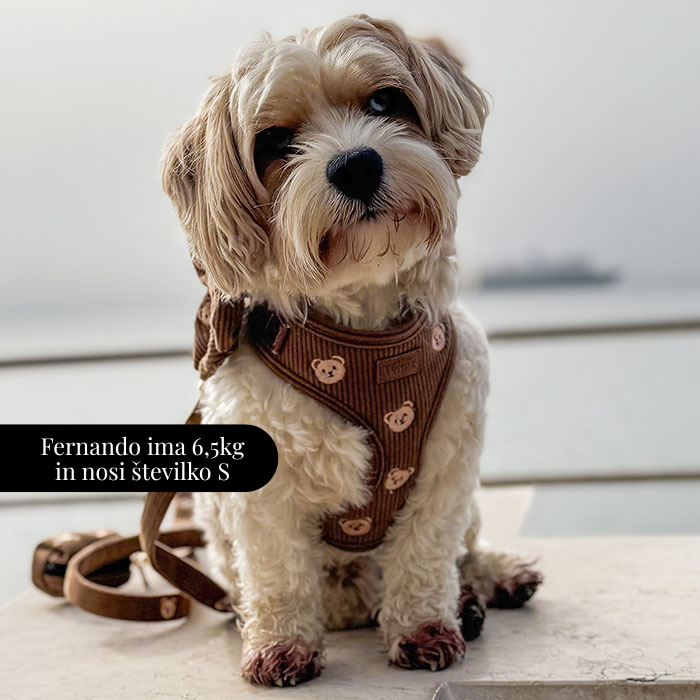 Nastavljiva Oprsnica Teddy Bear