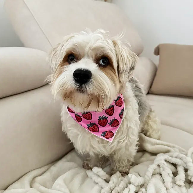 Strawberry Bliss Bandana